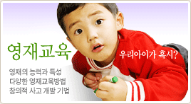 ������ �ɷ°� Ư��,�پ��� ���� ���� ���,â���� ��� ���� ���